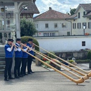 Die Alphorngruppe Buttisholz